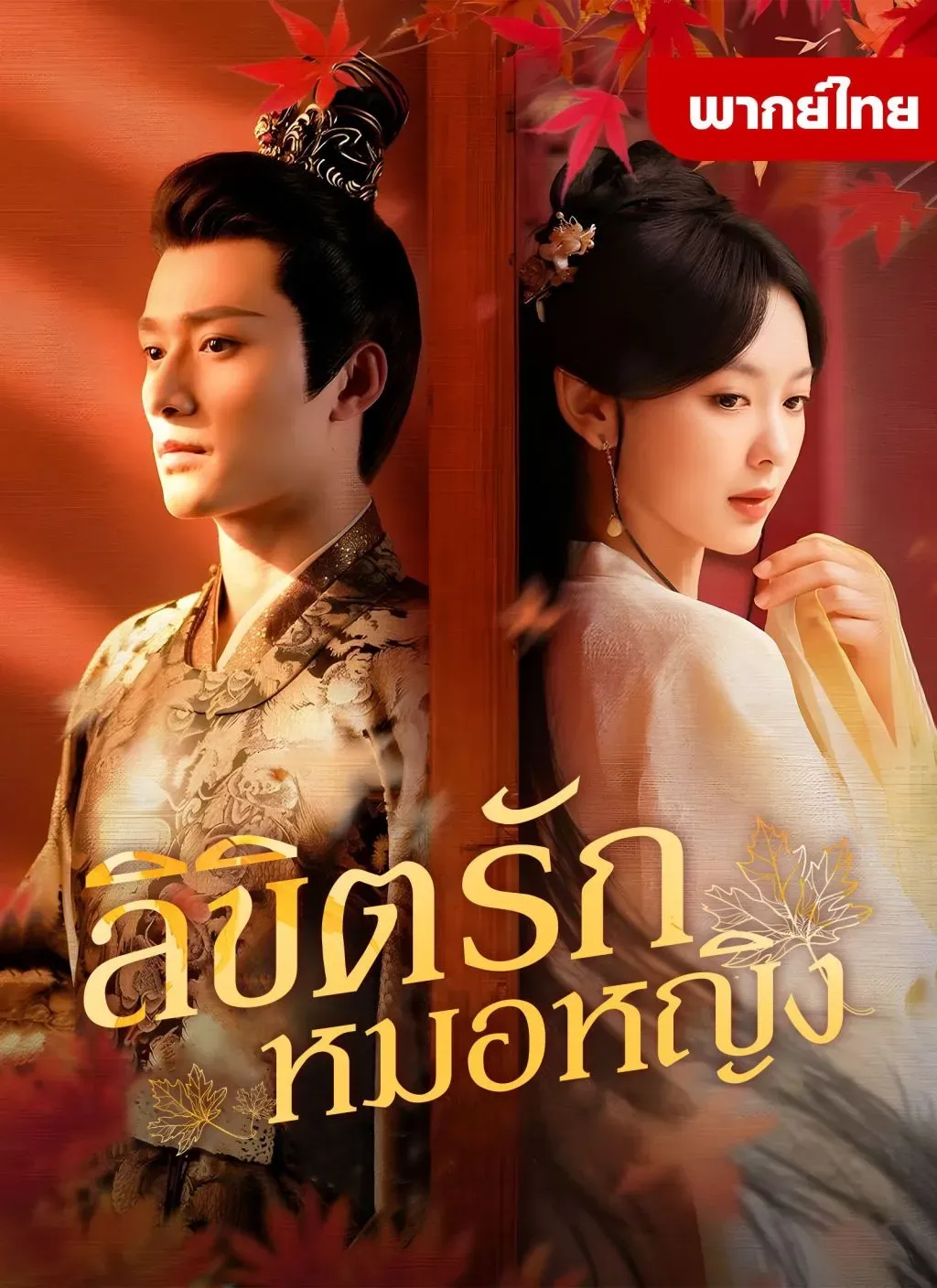 ลิขิตรักหมอหญิง พากย์ไทย ตอนที่ 1 HD ดู ลิขิตรักหมอหญิง พากย์ไทย ตอนที่ 1 พากย์ไทย ซับไทย